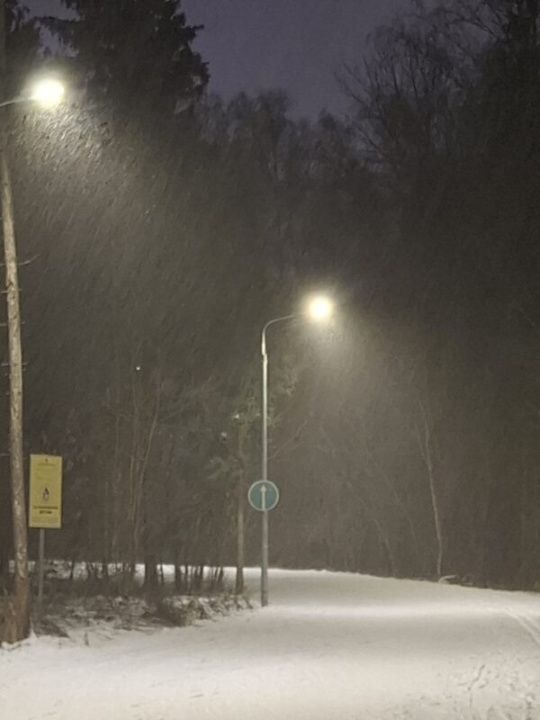 Трасса лыжероллерная Зеленоград Савелки, состояние на 22 декабря 2025 по отзыву, фото 10. 